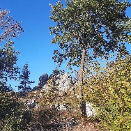 Haus Amann Διαμέρισμα Prackenbach Εξωτερικό φωτογραφία