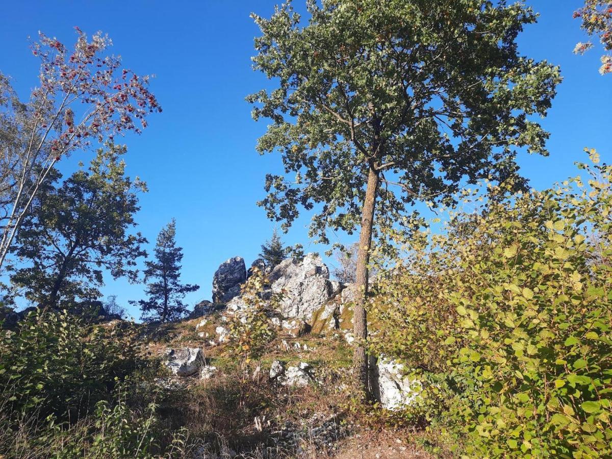 Haus Amann Διαμέρισμα Prackenbach Εξωτερικό φωτογραφία